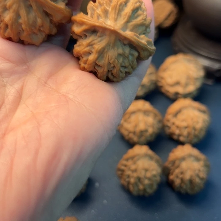 辉***哥木桃树是由树的种子