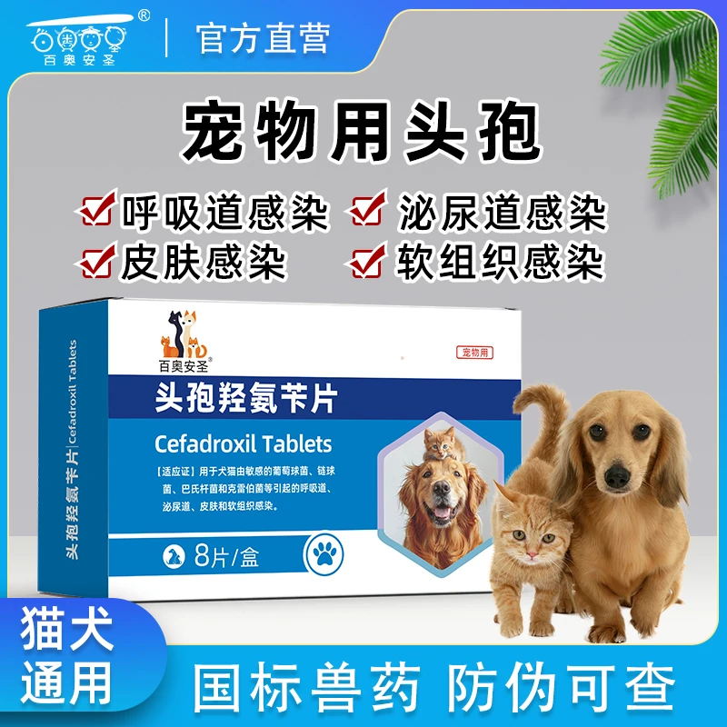 宠物猫狗通用口服头孢营养补充剂用于伤口感冒