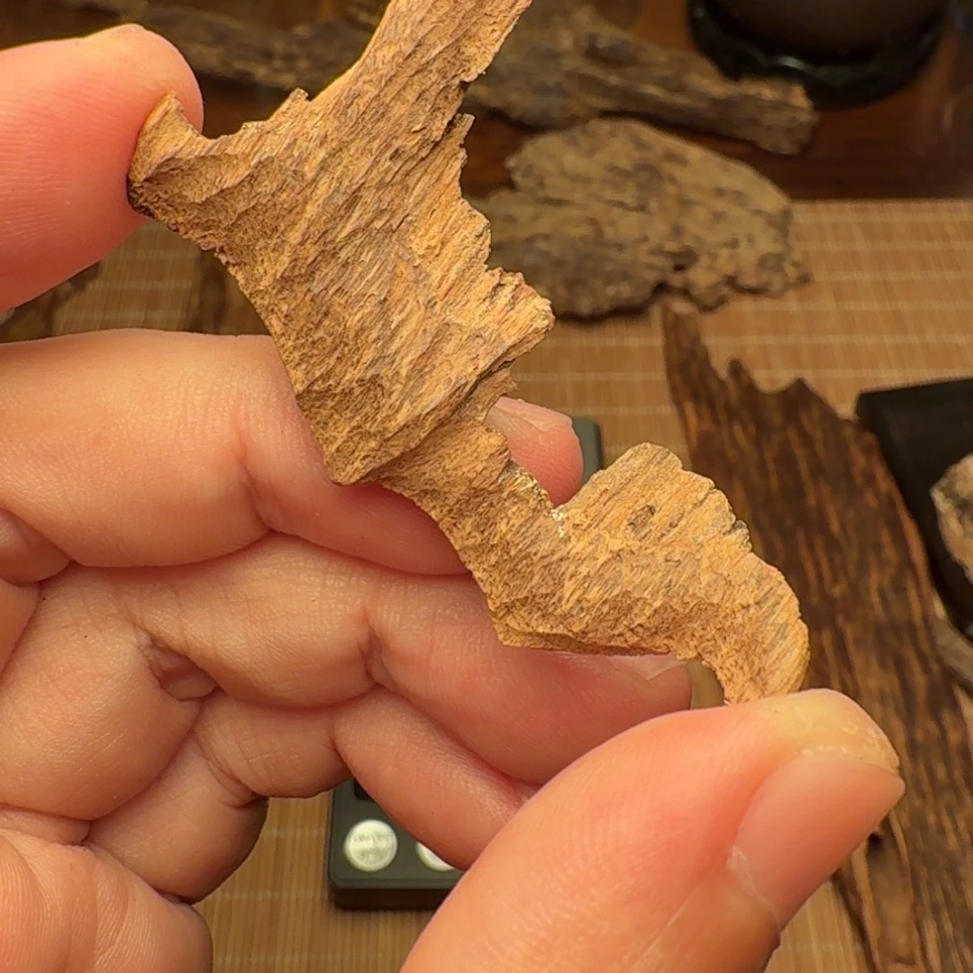 沉香海南老房梁料子1.22g