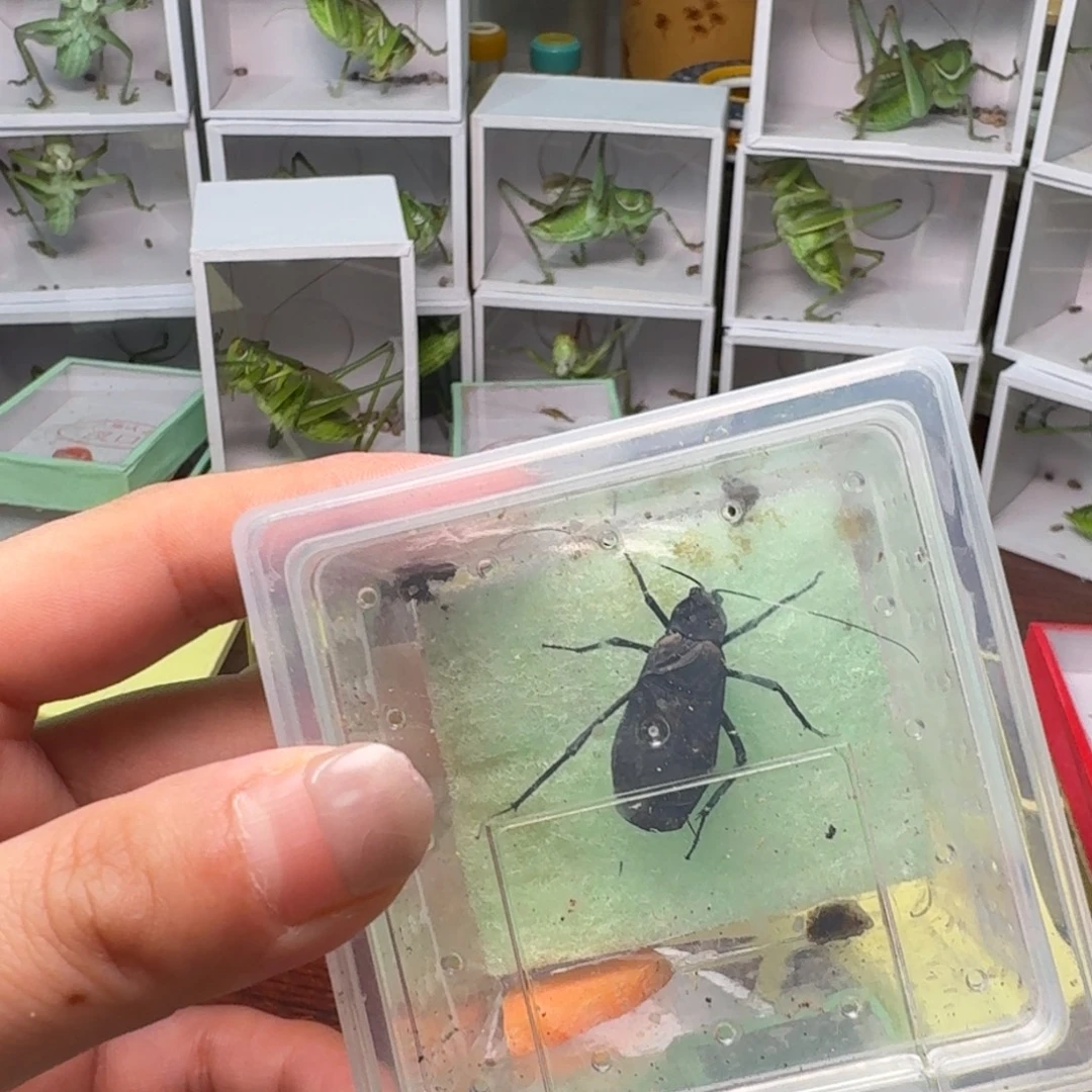 张***S一天电包蛉。