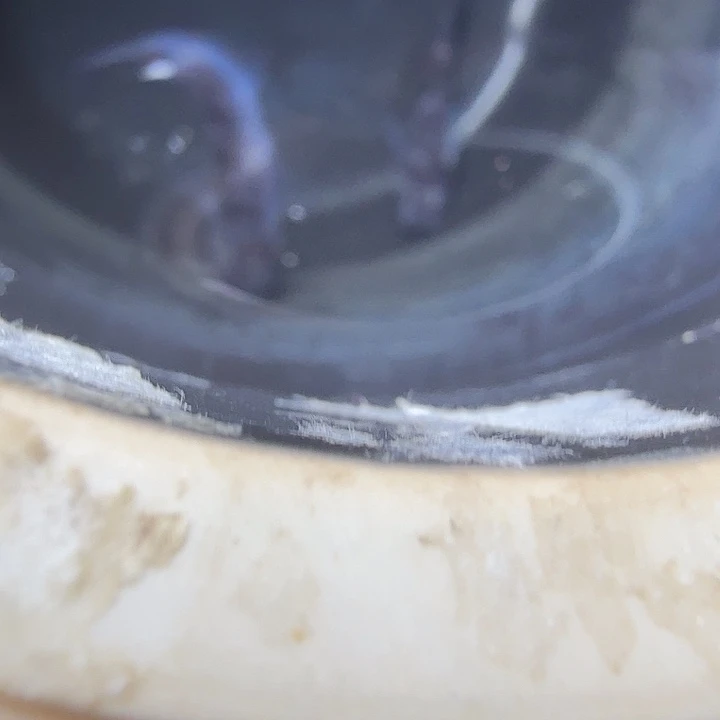 青鳉鱼34号拍品和墨