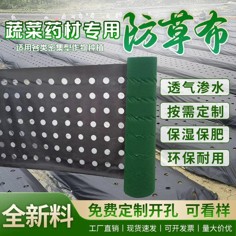 打孔除草布耐用透水地布带孔新型生态可降解土工布厂家直销
