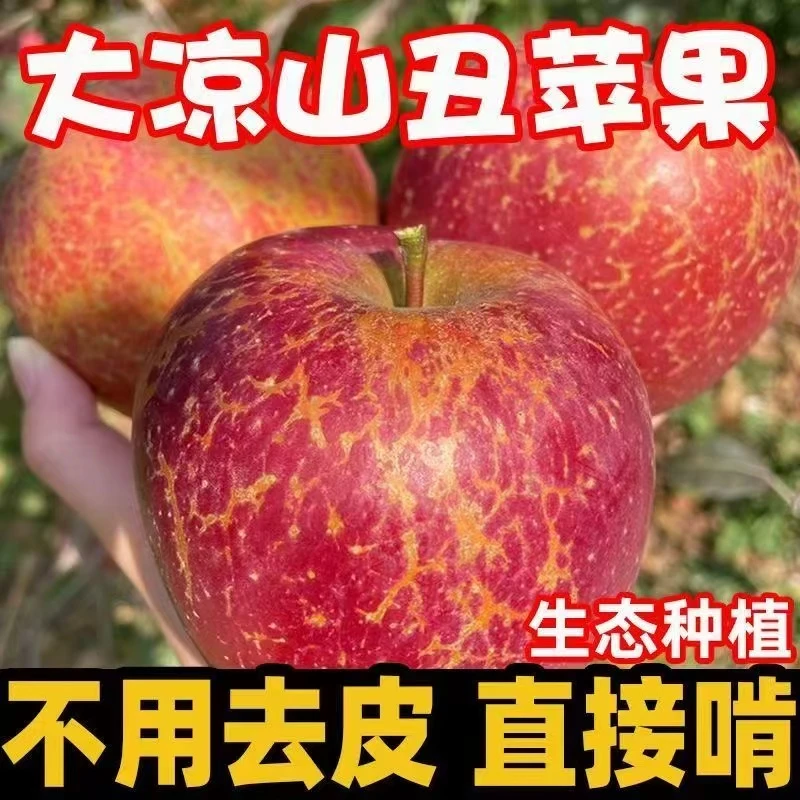 四川大凉山丑苹果新鲜现摘脆甜多汁应季水果W