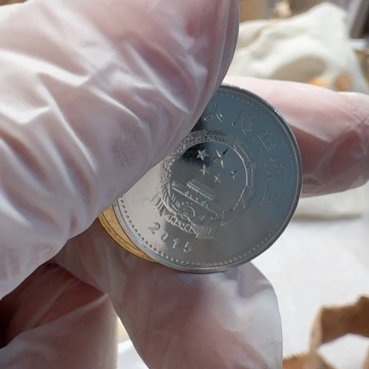 其他普通金属梅花50的新的币