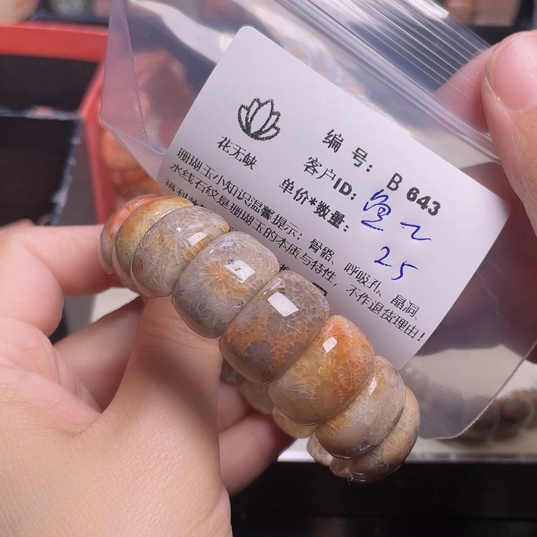 鱼***鱼硅化玉未镶嵌手镯