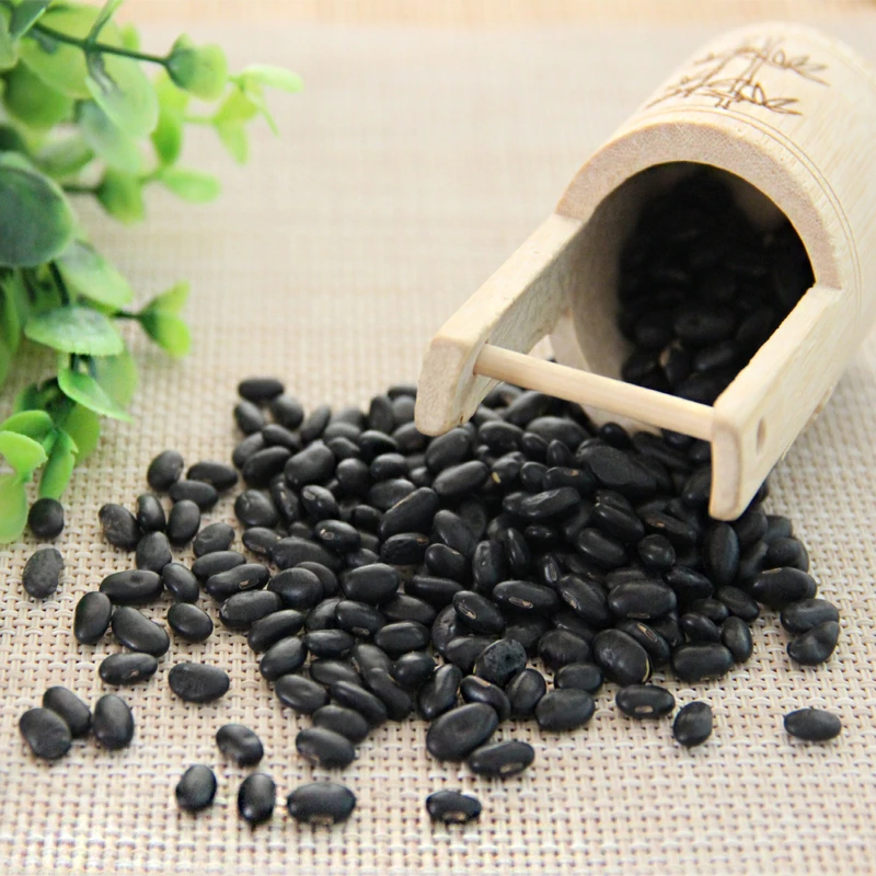 山西农家自种肾形黄仁小黑豆营养丰富可打豆浆发豆芽黄心黑皮新豆