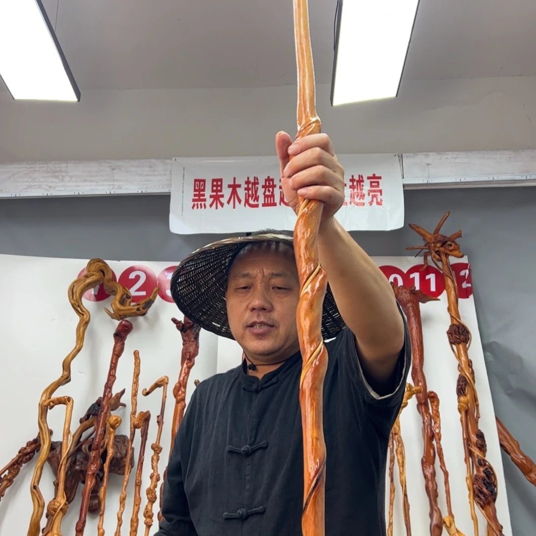 冬***青黑果木其他黑果木544