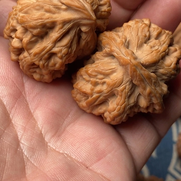 诉***寻核桃全品三羊谷一对，大粗筋一对