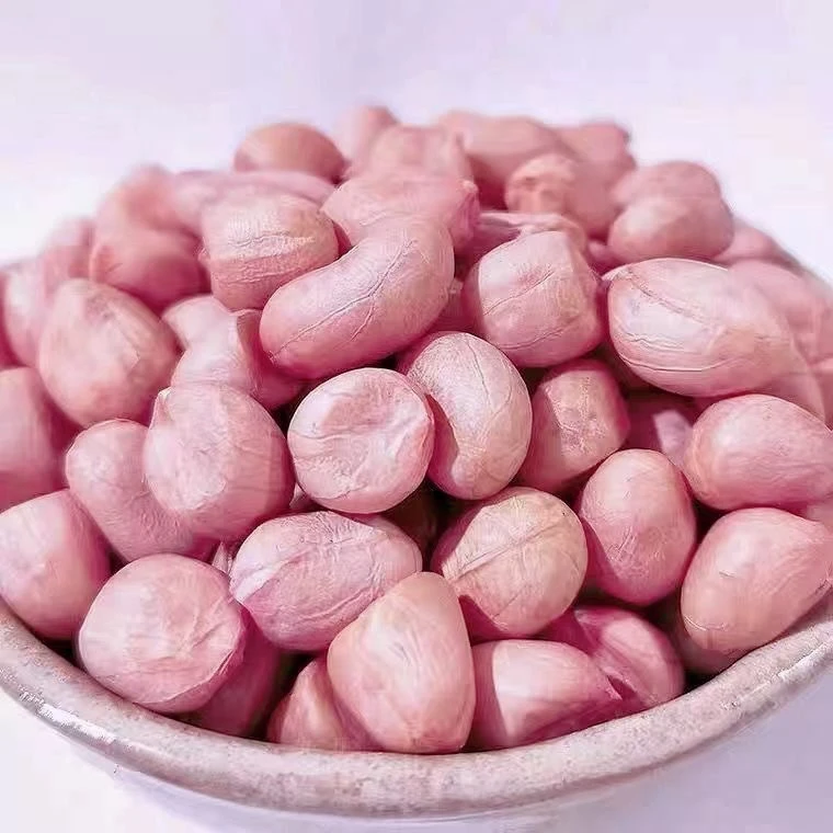 大大粒五斤十斤三斤装2024年新上市花生米河南南阳大白沙生新鲜菜