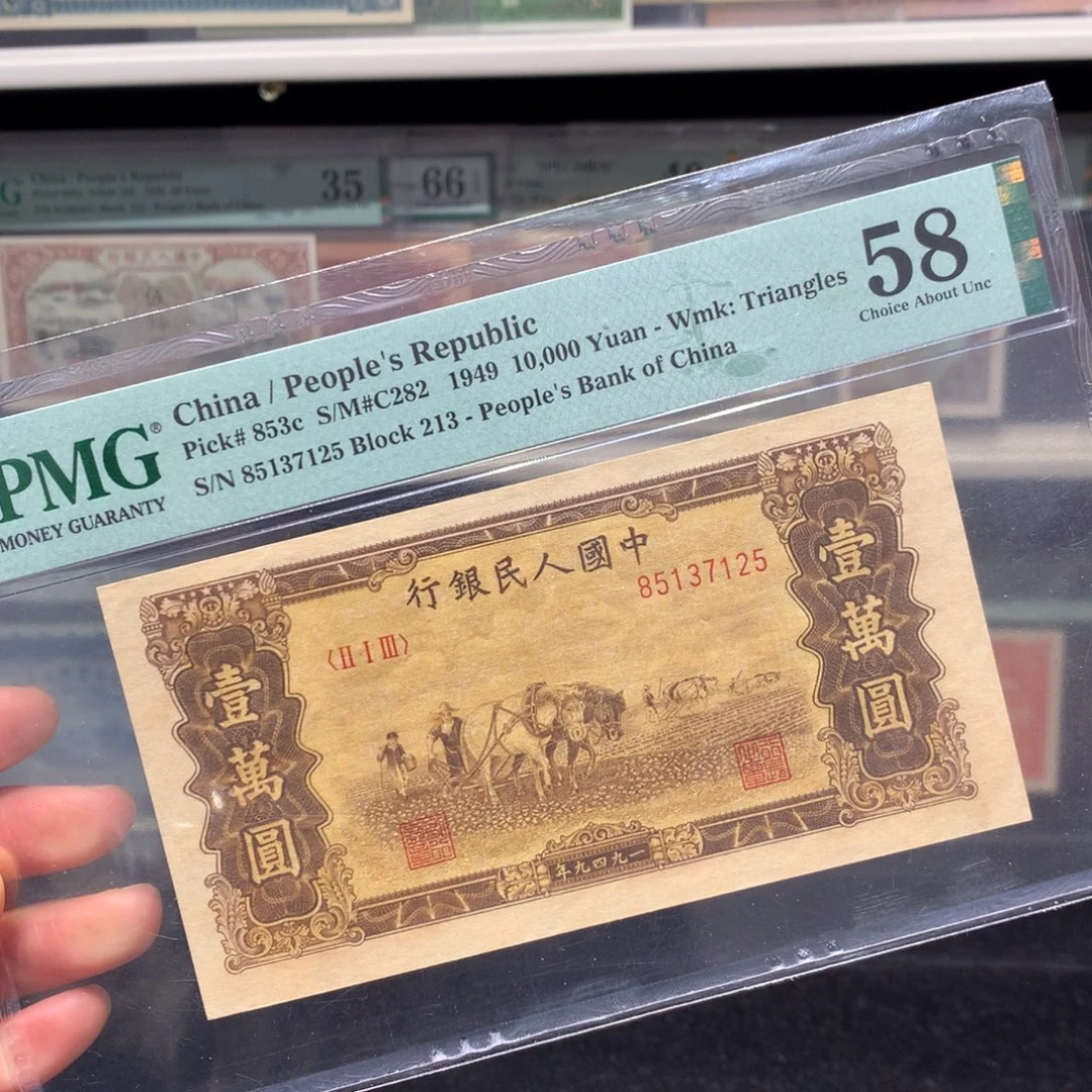 纸币 纸币 纸币 纸币