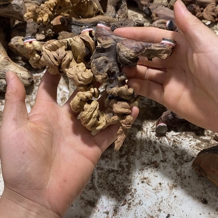 禧*杨毛坯半成品等
