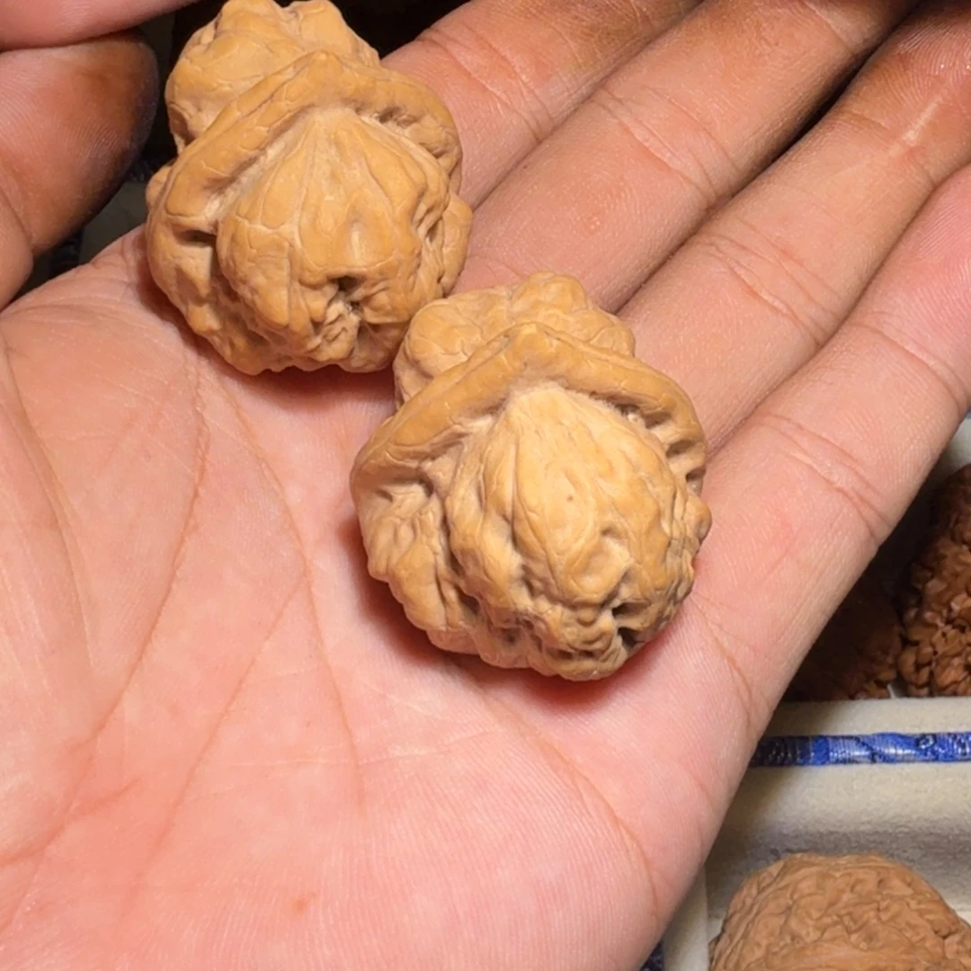 侣***行吊坠文玩核桃古蝉