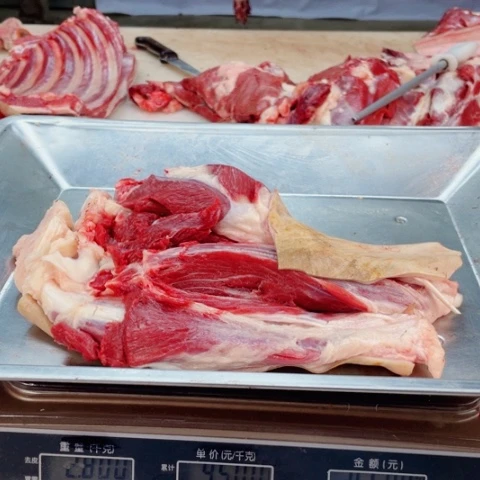 【闪购商品】冷冻保存30天包装河北省