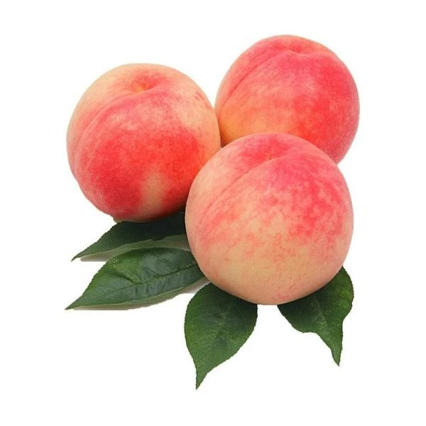 Y水蜜桃/份 多种规格，选择下单山东省