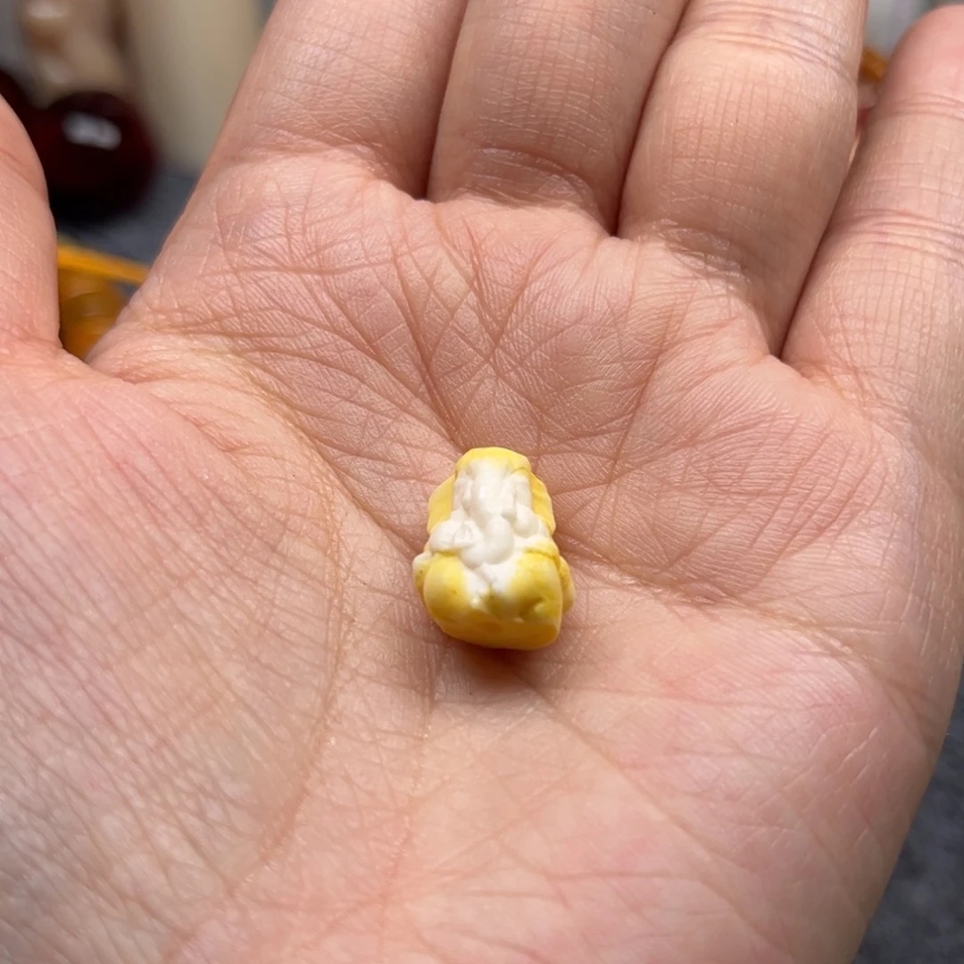 鹿骨其他人工养殖驼骨101