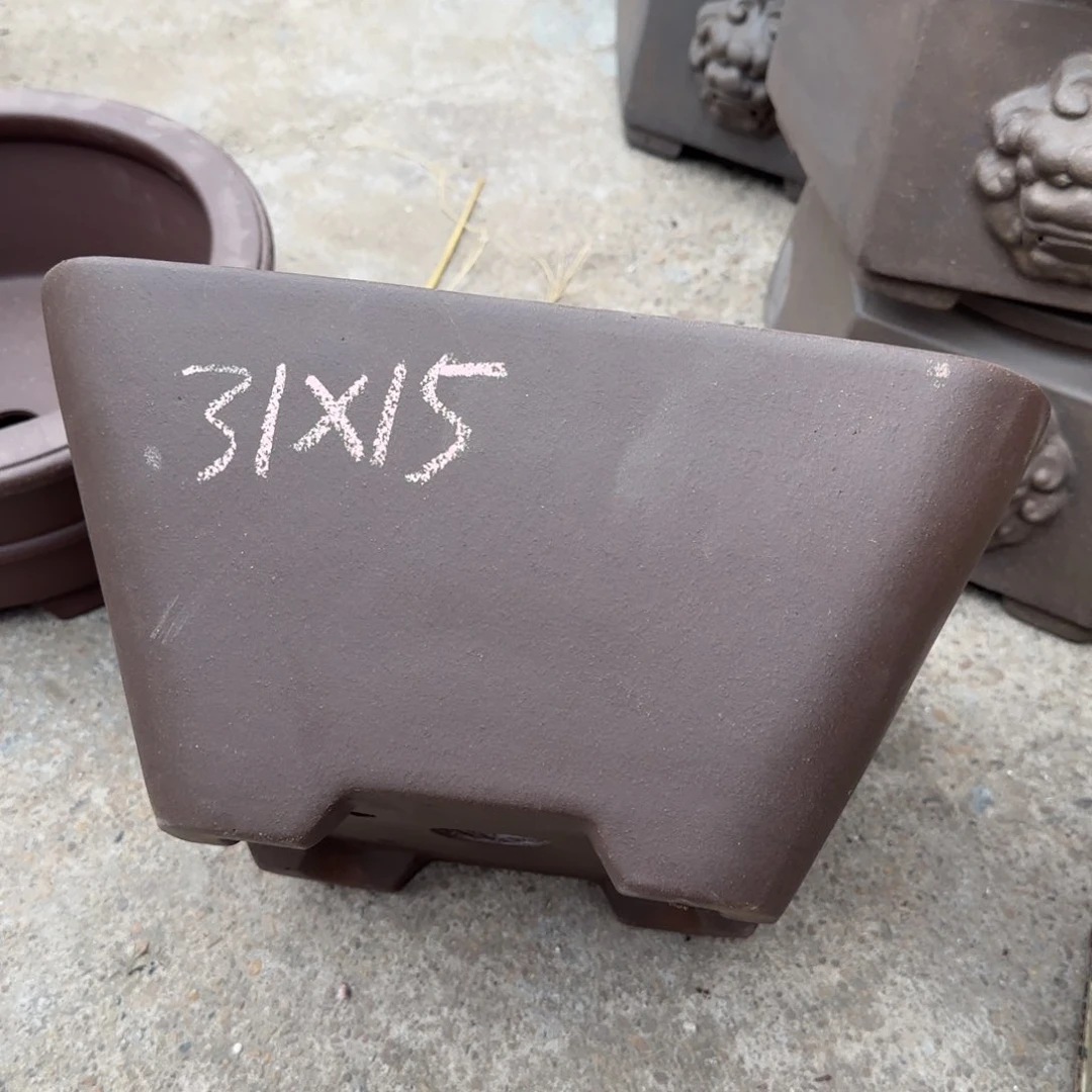 紫砂花盆我呜呜呜呜呜呜