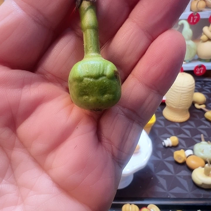 胡**墨谢谢你的关心和支持和帮助哈
