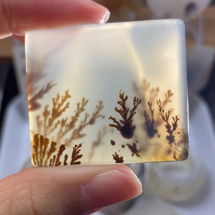 玛瑙/玉髓未镶嵌牌子