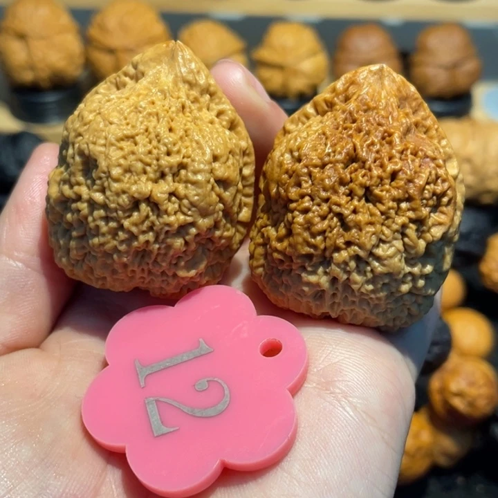 铁南疆带彩38。