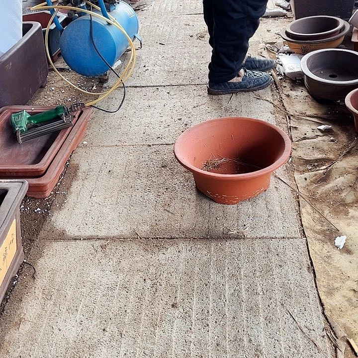 红陶宜兴紫砂花盆二号