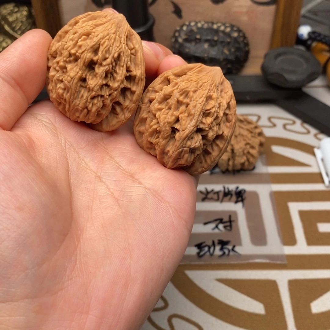 虎头40哈哈哈哈哈哈哈