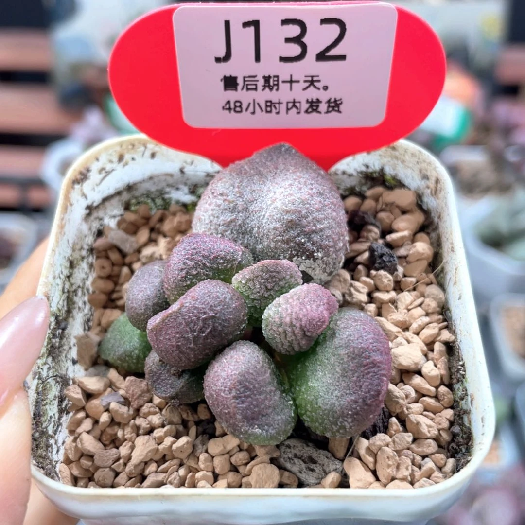 福利。    132。