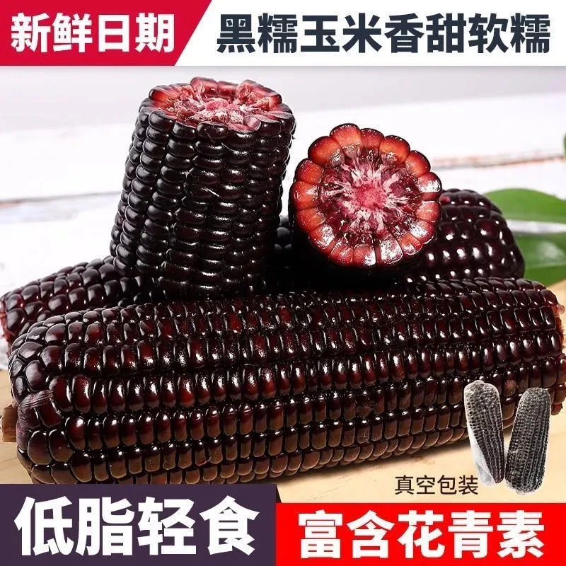 东北黑糯玉米新鲜黑糯米非转基因即食甜糯低脂减脂整箱5斤20段