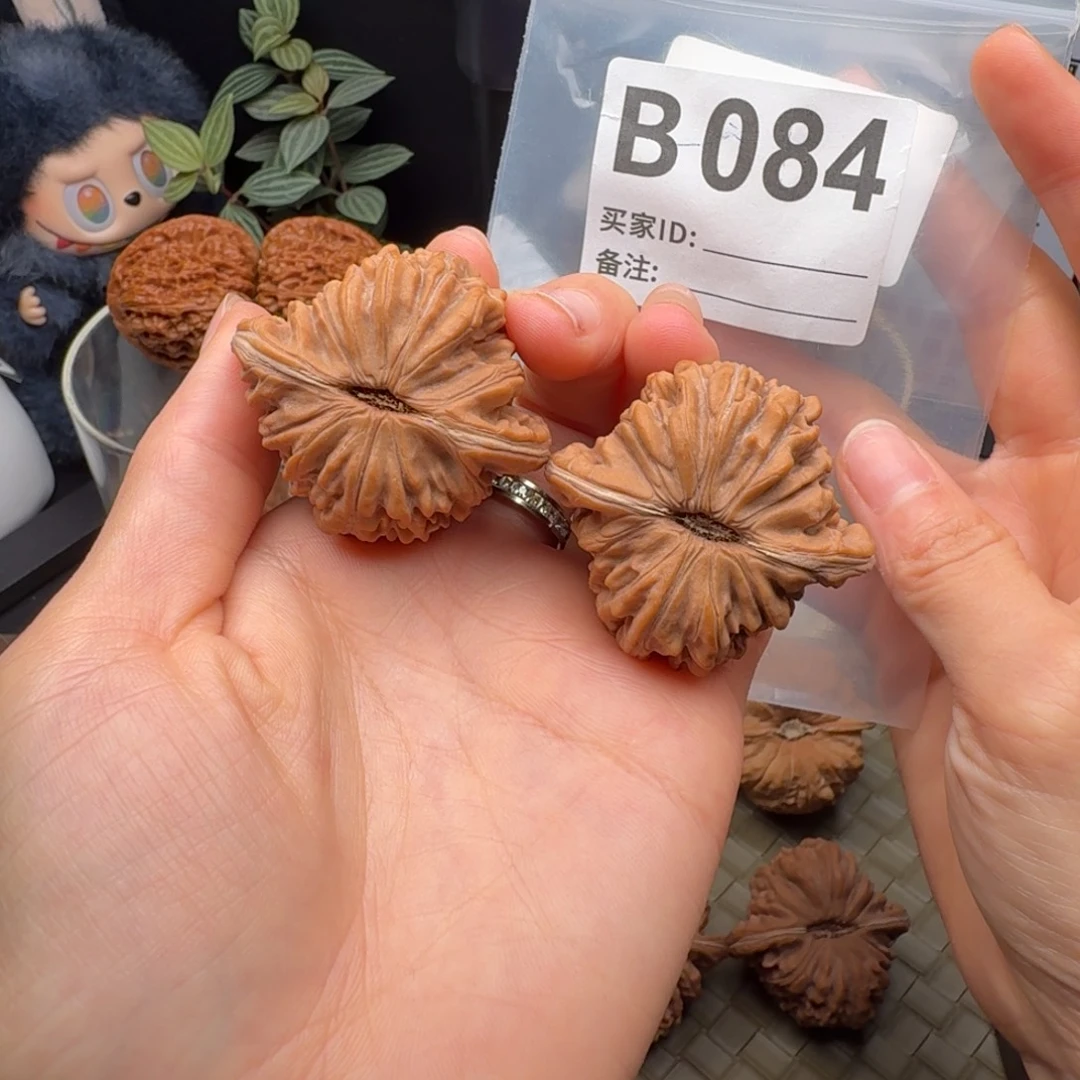 龙脊菩提吊坠全品四座楼44