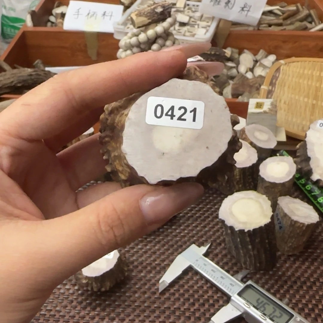 其他鹿骨56×40 0421角帽