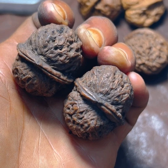 把件文玩核桃卡37火焰灵姬66号