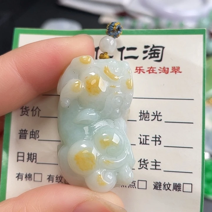 翡翠未镶嵌颈饰貔貅