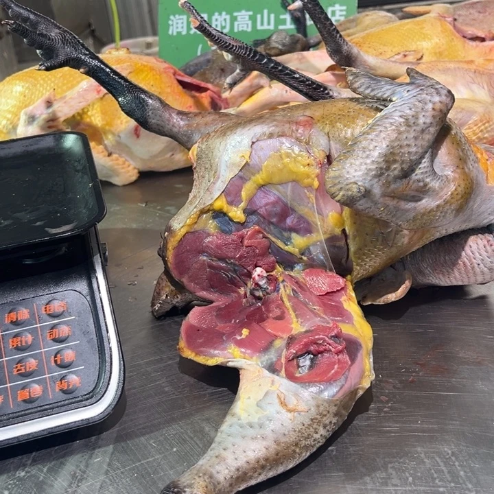 二号公鸡食用农产品中国大陆欣*