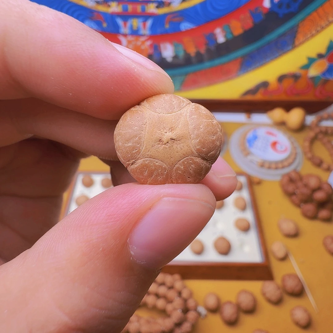 19五星，一物一图，