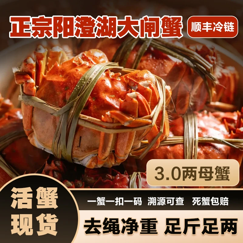 【正宗阳澄湖大闸蟹】活蟹3两全母6/8/10只塘养鲜活顺丰直发