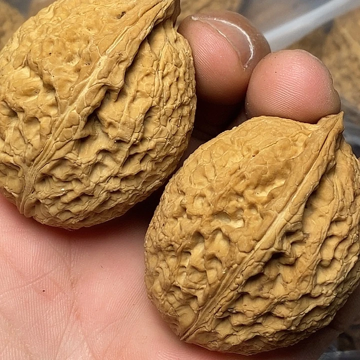 把件文玩核桃云南铁核桃9