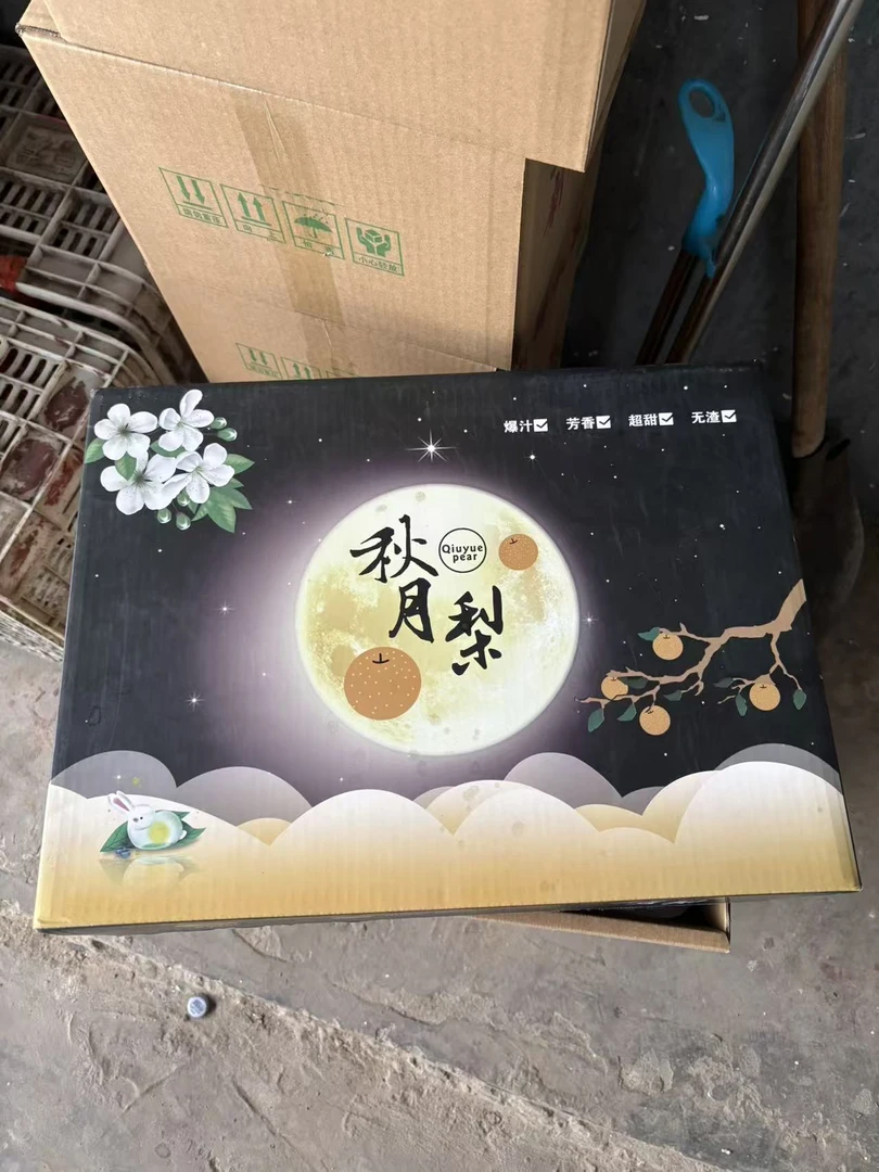 正宗秋月梨新鲜脆甜多汁应季现摘水果礼盒装