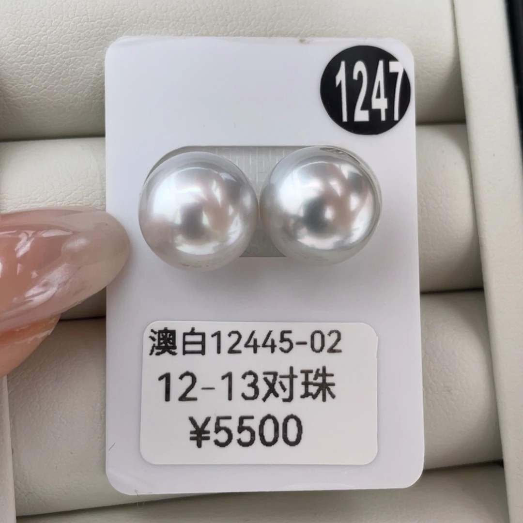 定制海水珍珠未镶嵌耳饰澳白12-13mm