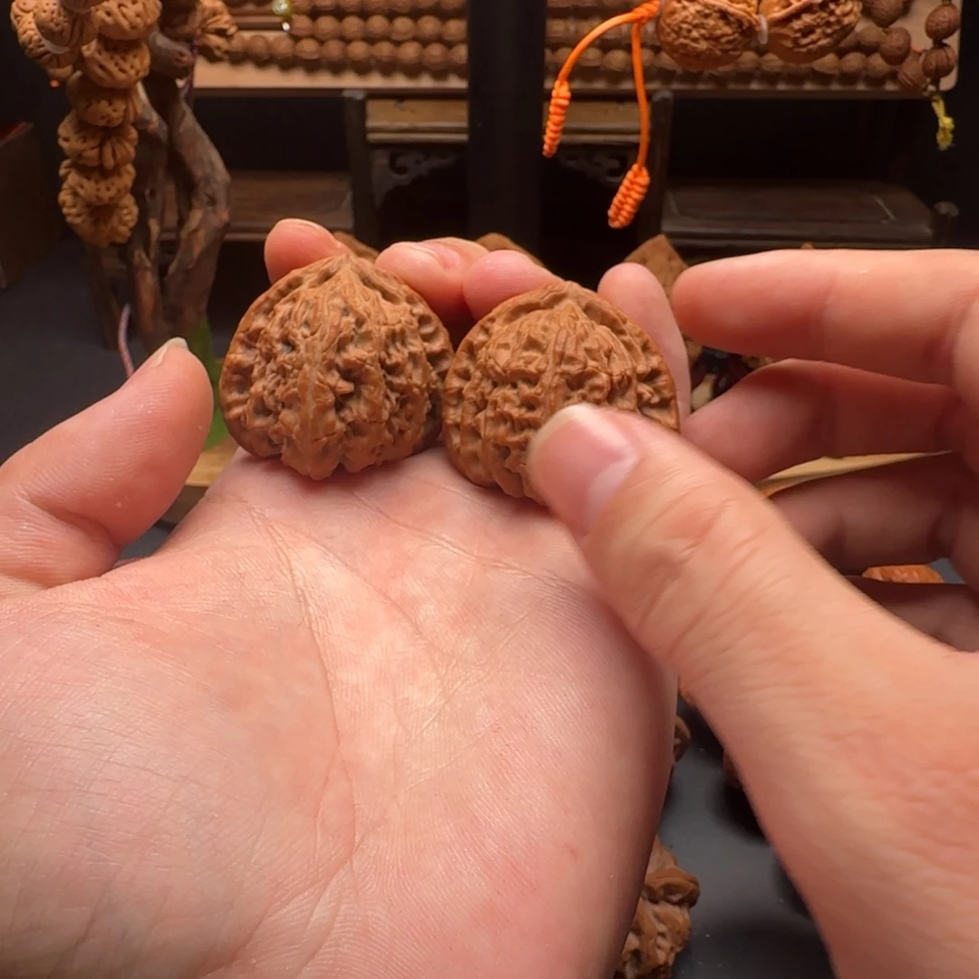 核桃怪型白狮子全品无修