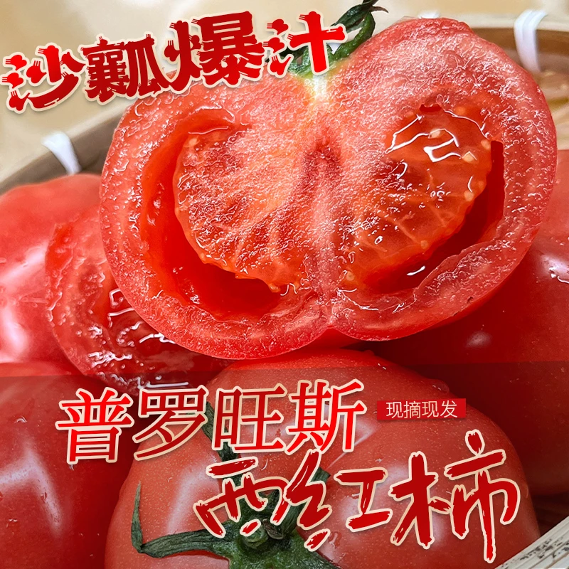 5斤普罗旺斯自然熟西红柿沙瓤多汁番茄当季新鲜蔬菜坏果包赔