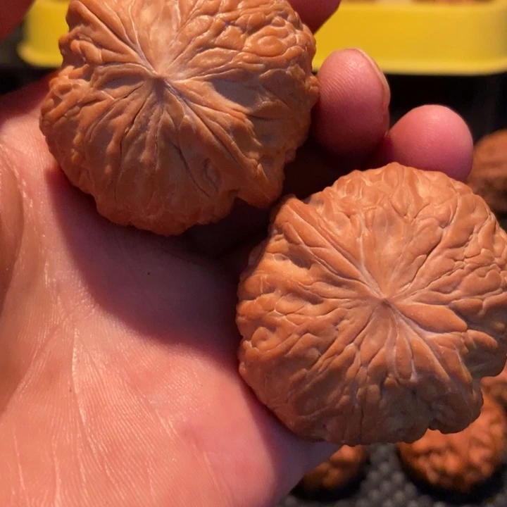 手串/手链核桃飞*