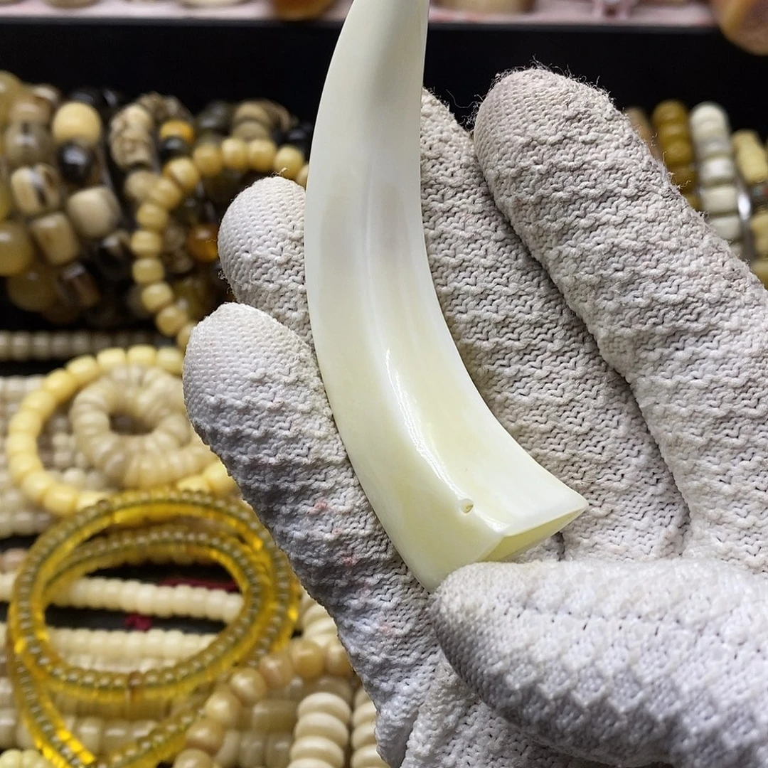 牛骨手串/手链猪牙