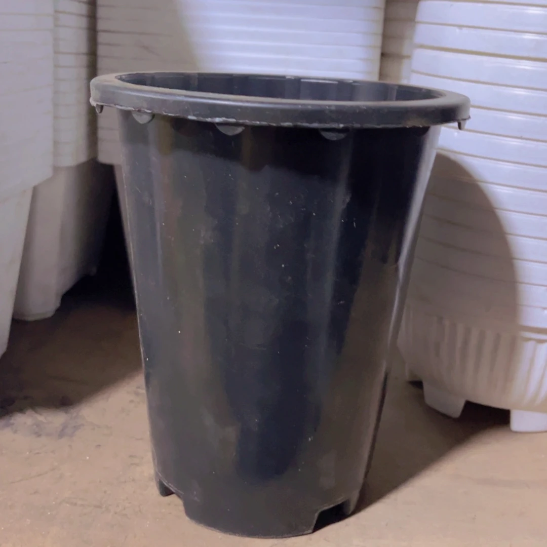 塑料15公分黑兰花盆10个 