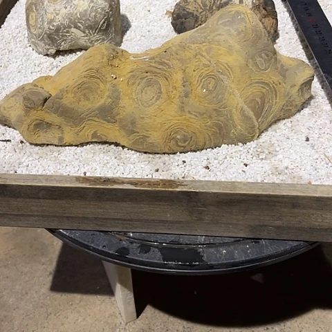 无花朵夏**装家居装修效果图