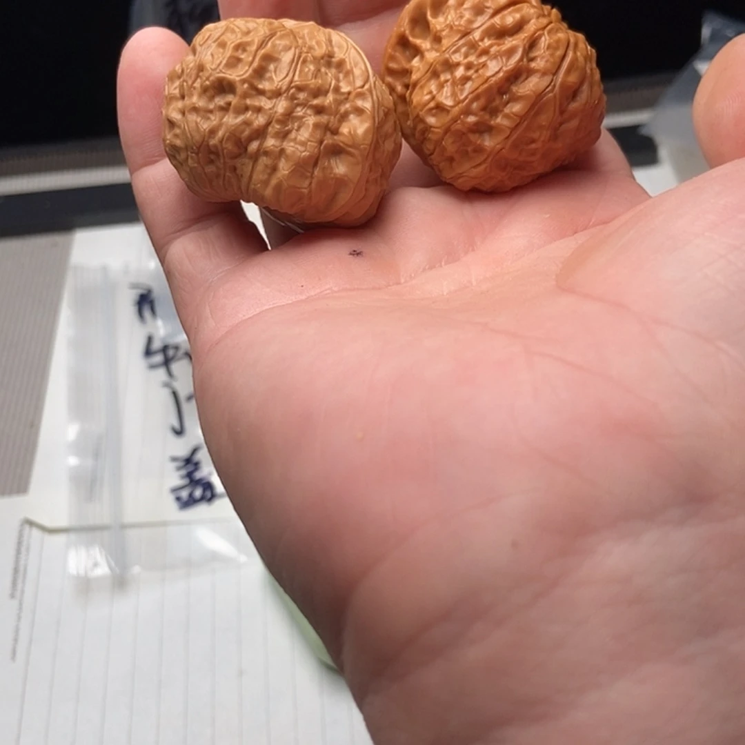 核桃和苹果在生产和使用