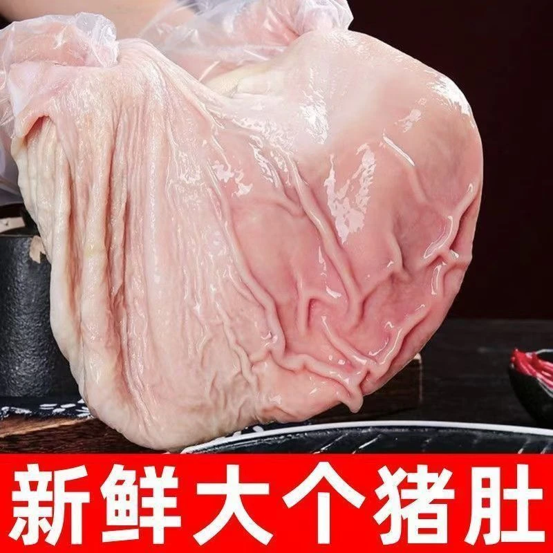 新鲜猪肚农家土猪猪肚猪大肚3斤