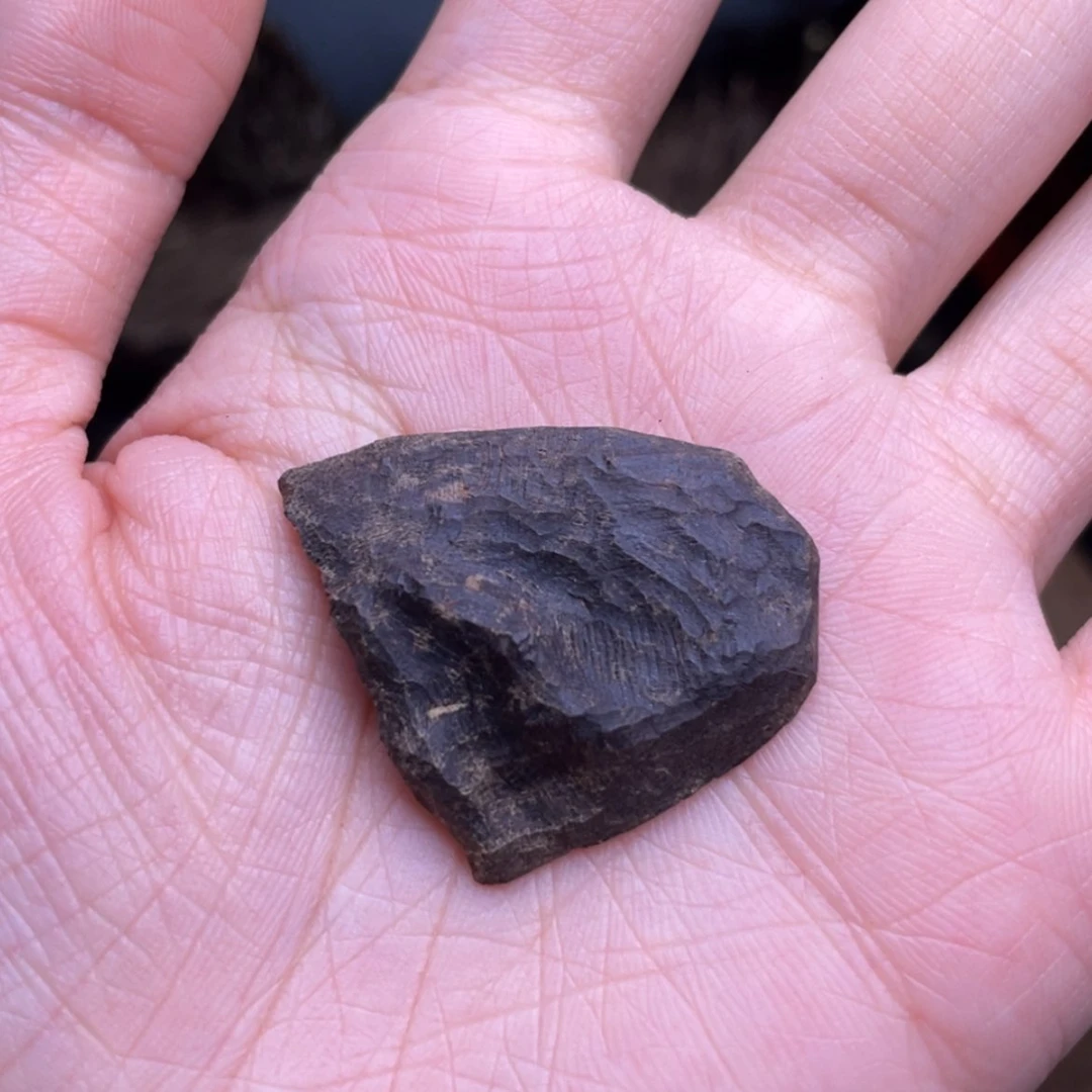 【闪购商品】香榧木海南尖峰岭沉水老包头1.3克