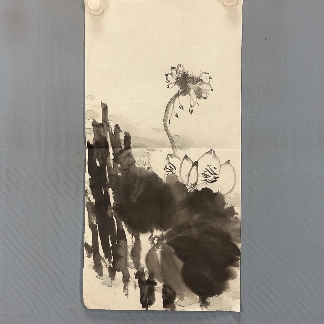 国画120 牡丹一如你初来乍