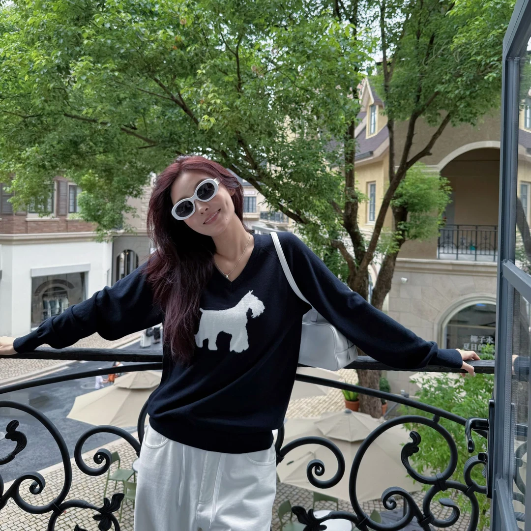 Moprobably李予诺「梵致」绵羊毛休闲小狗V领套头针织毛衫L5376019