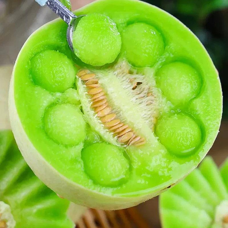 山东冰淇淋玉菇甜瓜4.5-5斤脆嫩多汁新鲜甜蜜