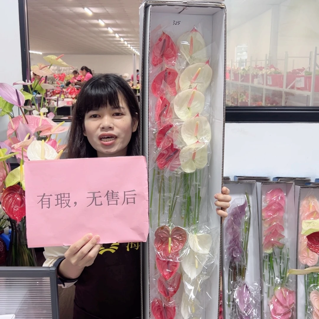 完全开放混色-20枝装无售后款325
